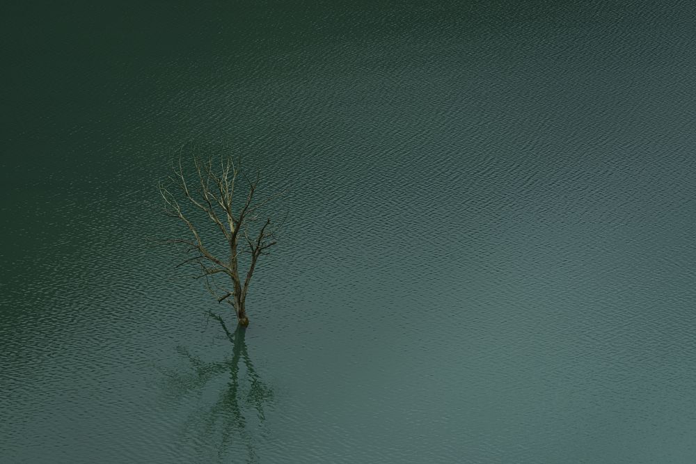 Фотография автора Марина Лукьянова