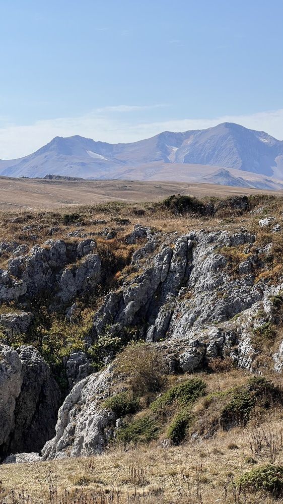 Фотография автора NINA