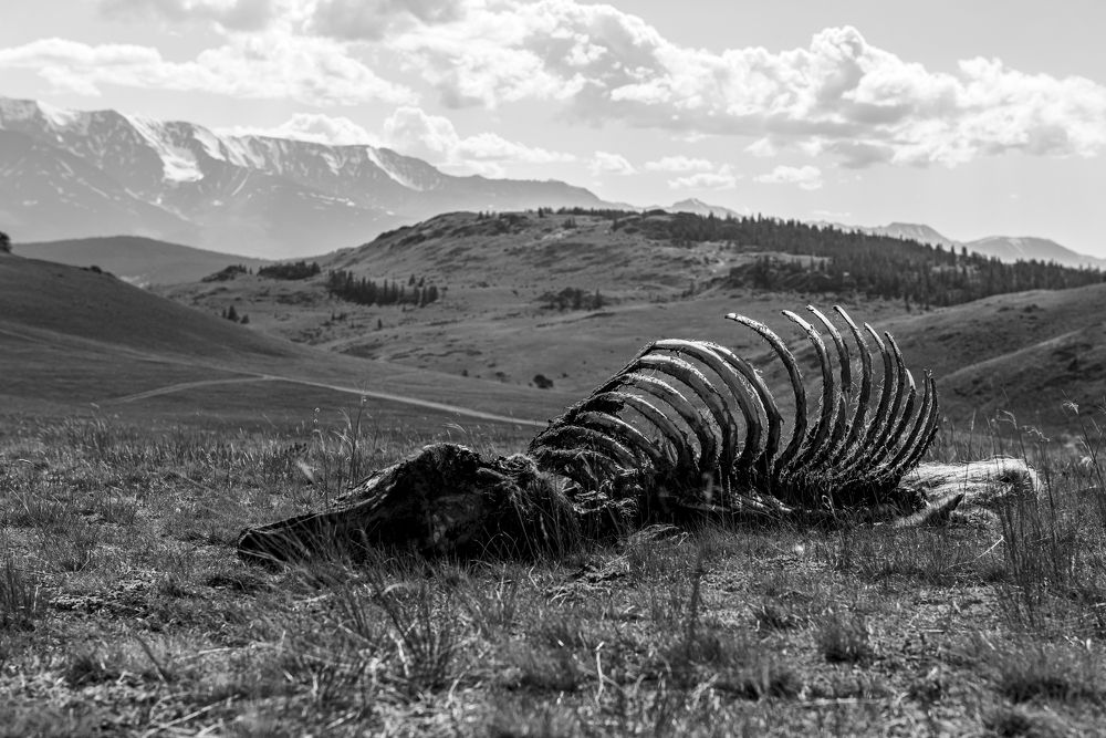 Photograph by Марк Кириченко