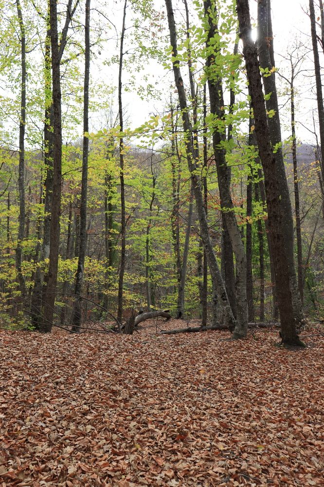 Photograph by Иван Скрипкин