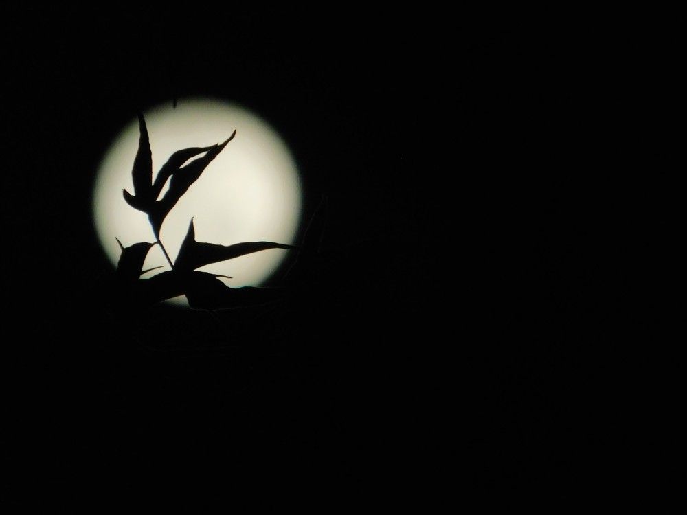 Photograph by Aliaksei Sauko