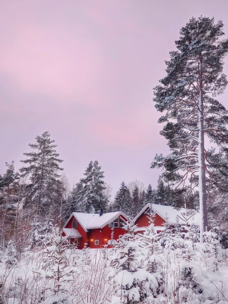 Фотография автора Alina Filimonova