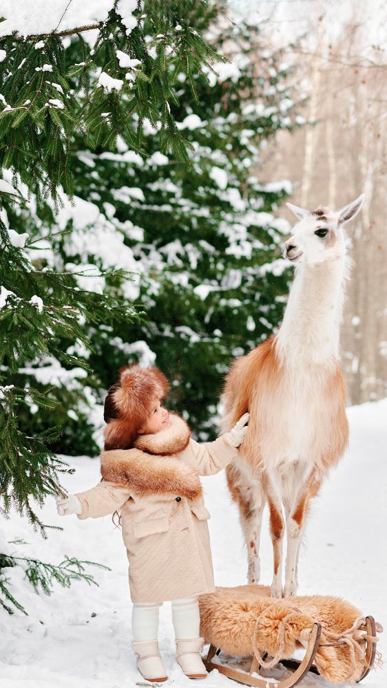 Photograph by Алина Прончатова