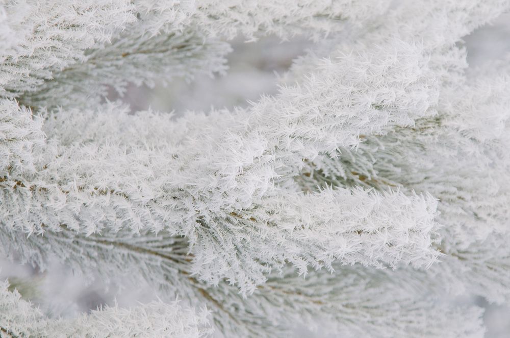 Photograph by Дмитрий Зуев