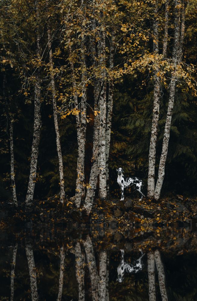 Photograph by Andrea Wafler