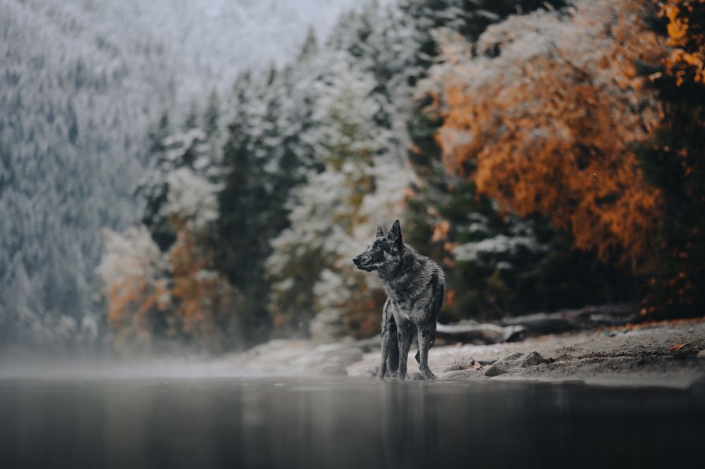 Photograph by Andrea Wafler