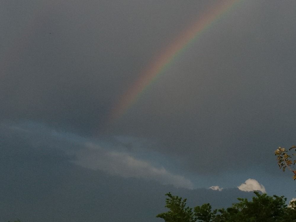 Photo #9985147