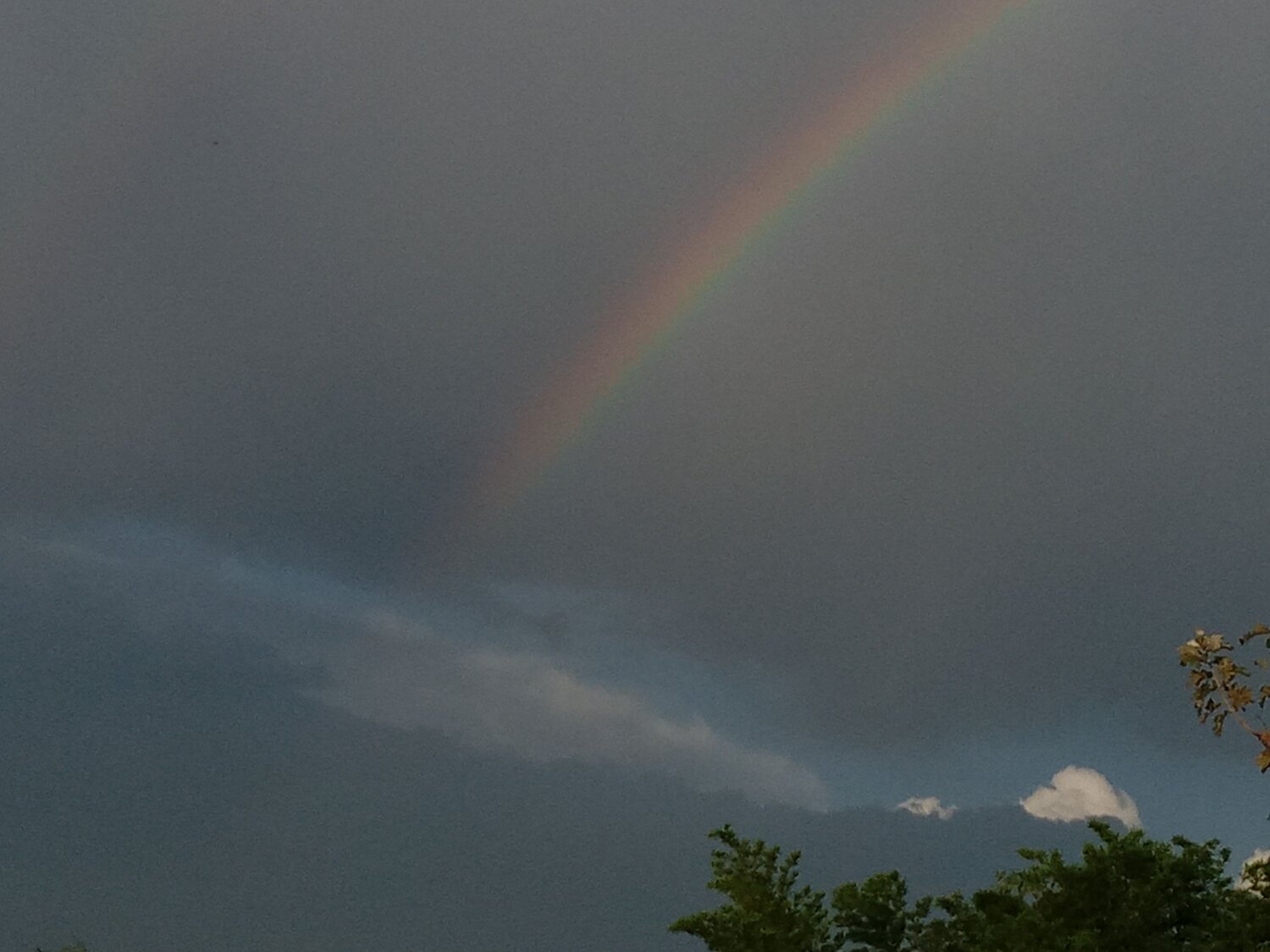 Photo #9985147