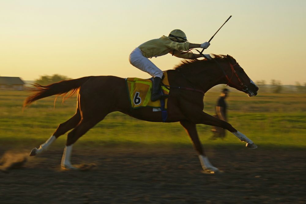 Photograph by Александр Велигура