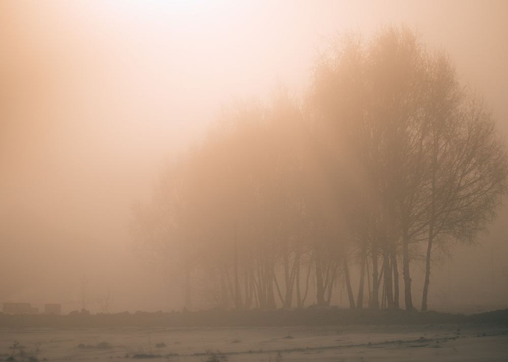 Photograph by Денис Рузаев