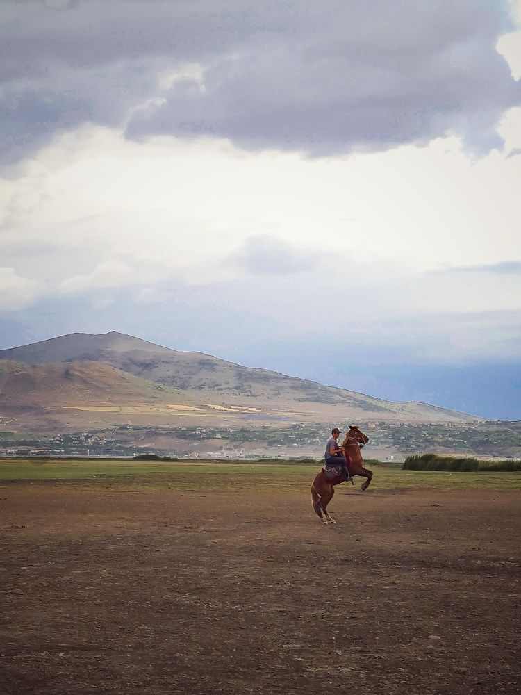 Photograph by Татьяна Соколовская