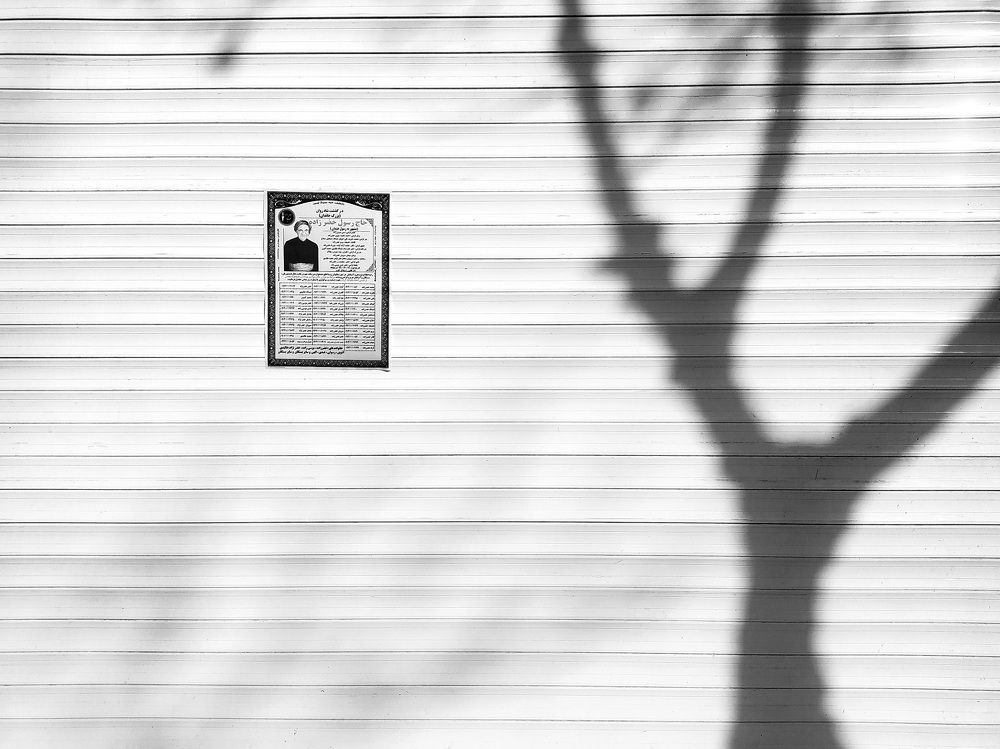 Photograph by Shamal Shakibayi