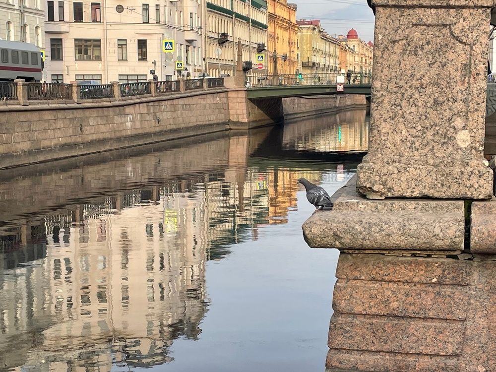 Photograph by Ирина Федорова