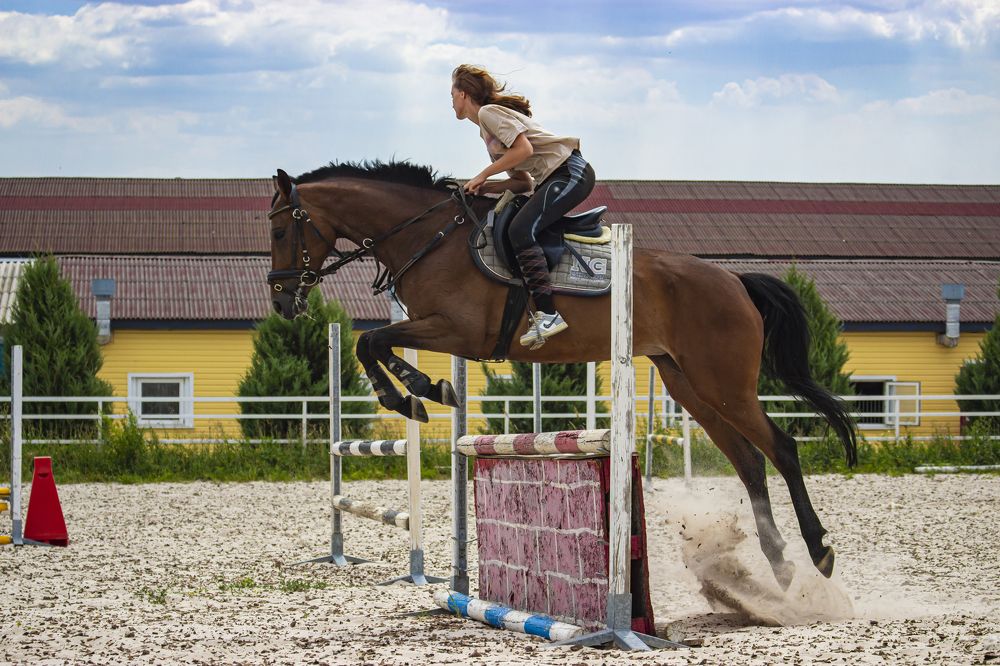 Photograph by Ольга Широкова