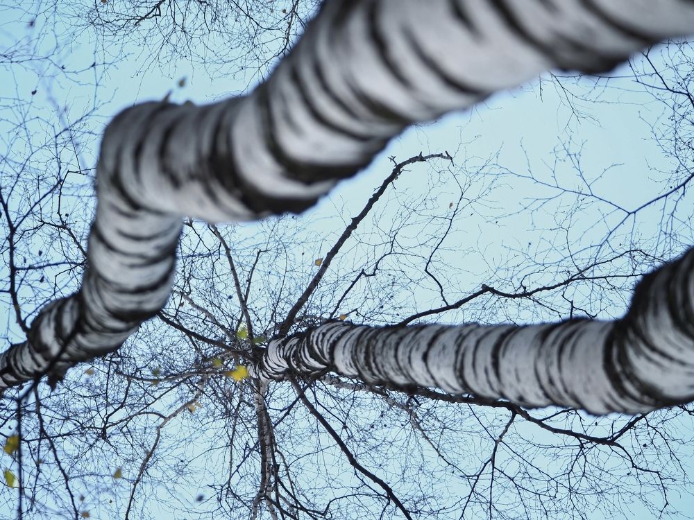 Photograph by Ольга Неведрова