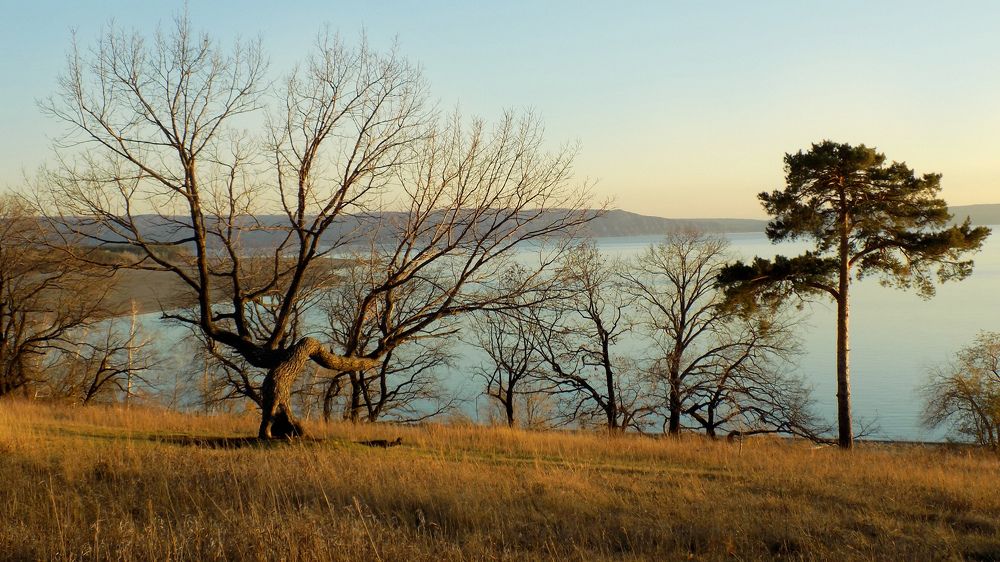 Photograph by Сергей Рудаков