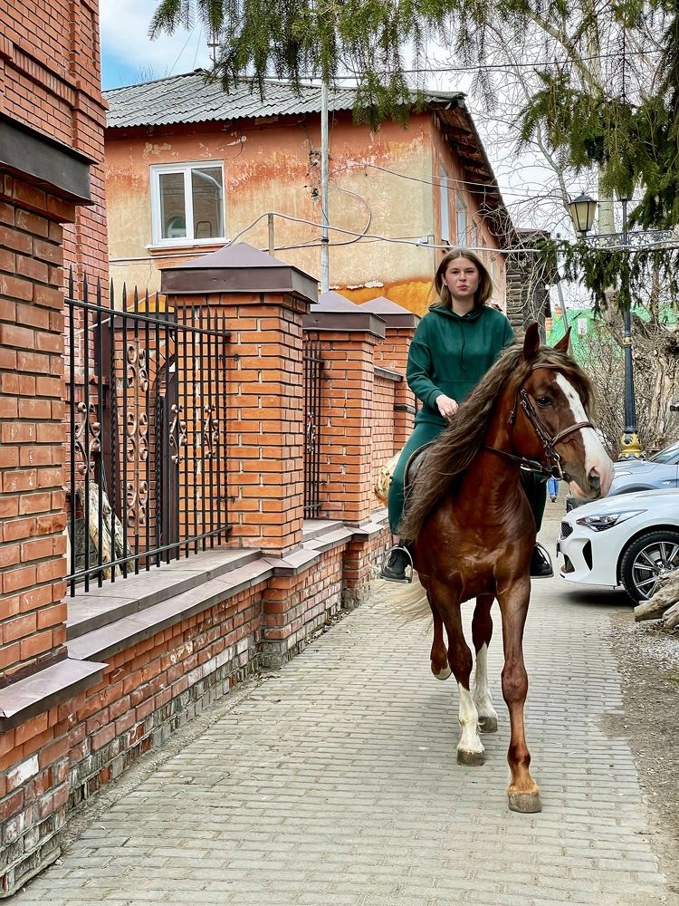 Фотография автора Nadezhda