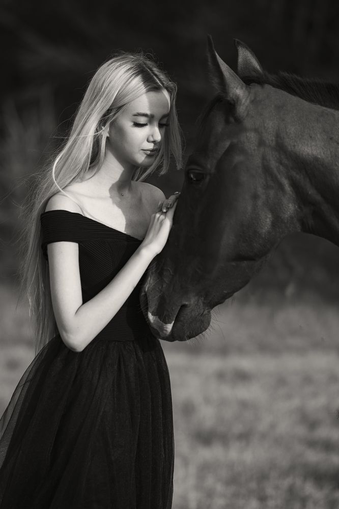 Фотография автора Danial Shokrollahi