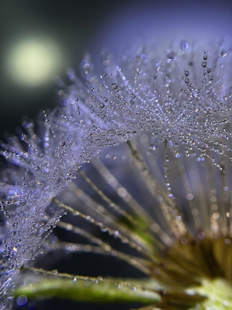 Photograph by Yulia Zhilinskaya