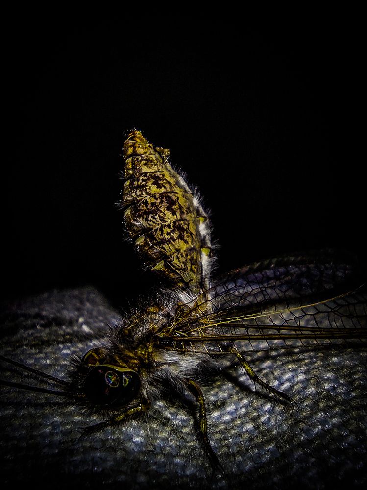 Фотография автора Mehmet