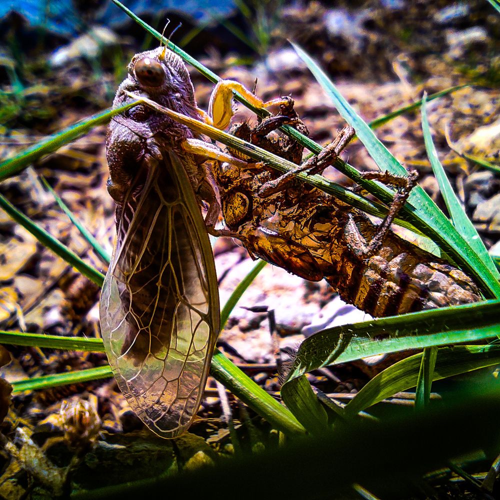 Фотография автора Mehmet