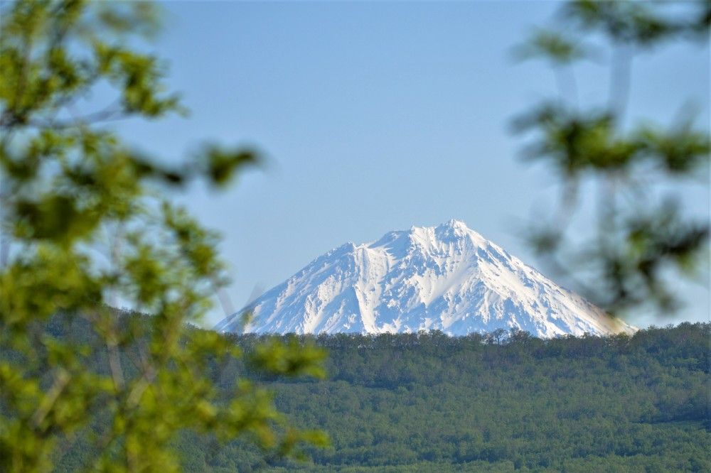 Photograph by Ения Семина