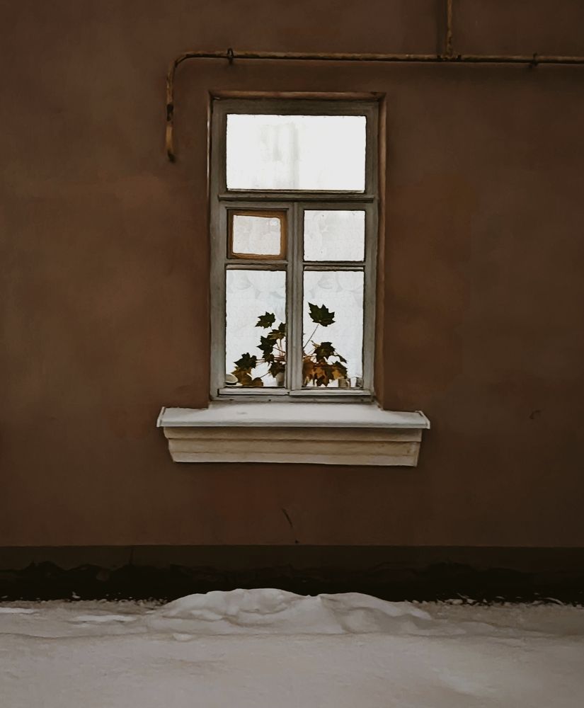 Фотография автора Catherine Shashkova