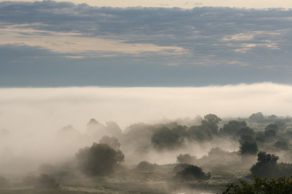 Фотография автора Татьяна Шебаршенко