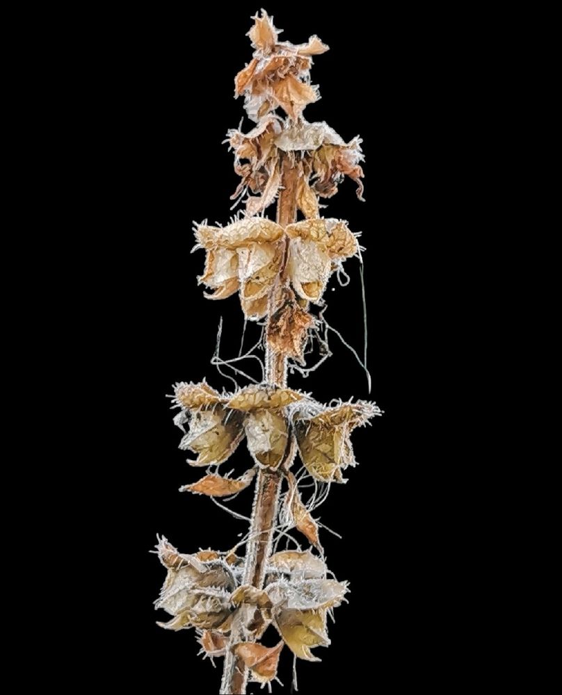 Photograph by Nikolett Mengyi