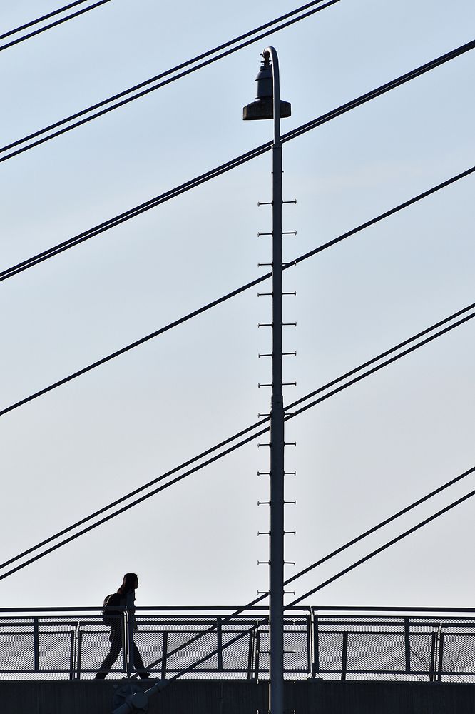 Photograph by Bob Gajdoš