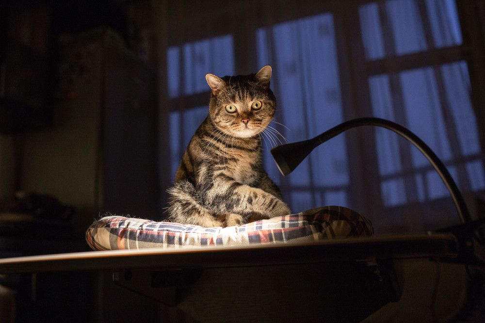 Photograph by Ирина Шафранская