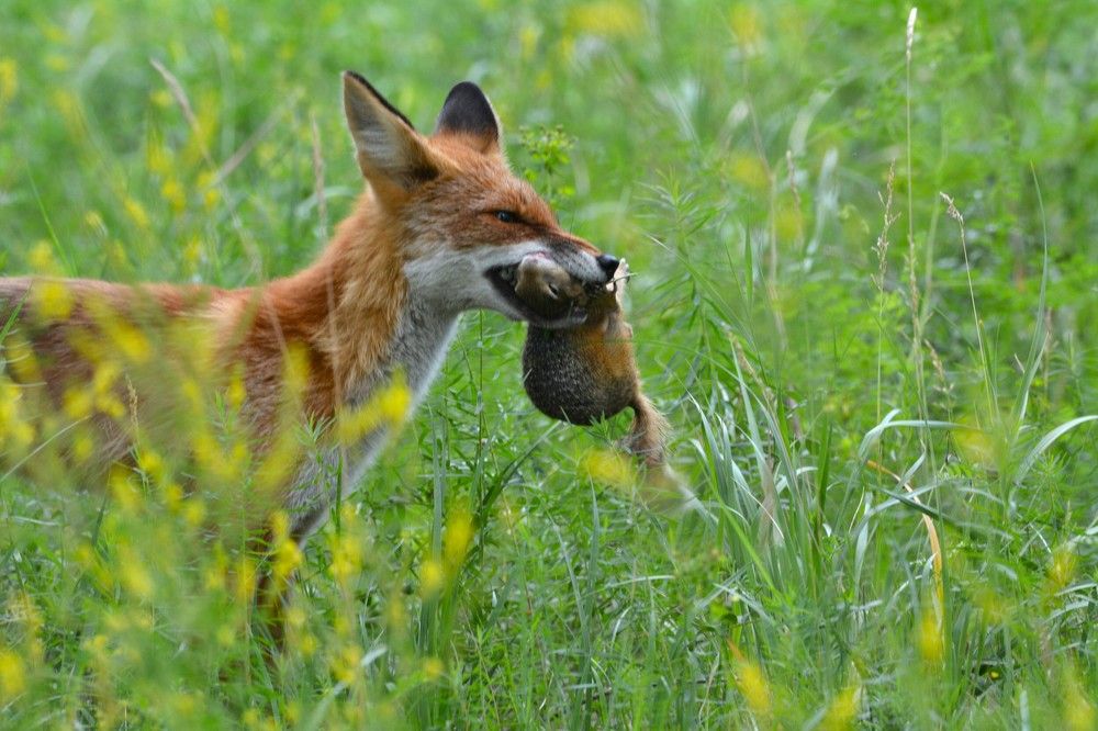 Photograph by Анатолий Каминский