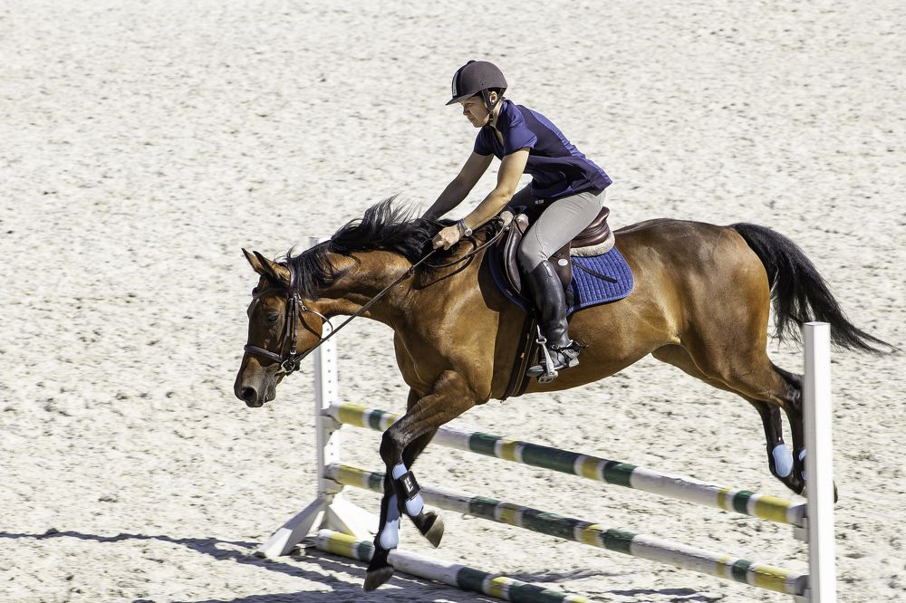 Photograph by Ольга Долгополова