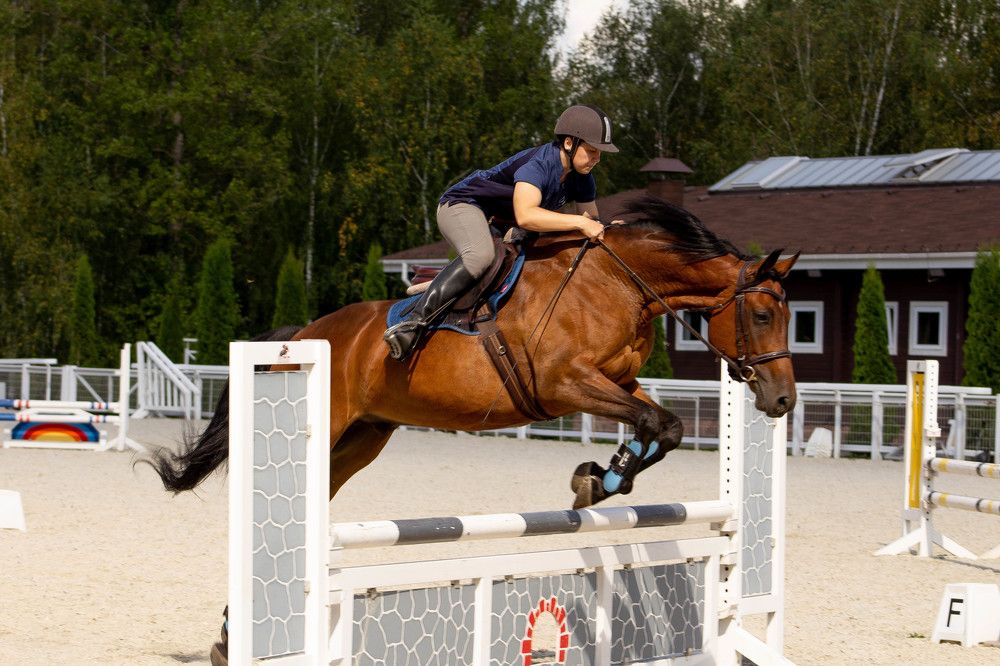 Photograph by Ольга Долгополова