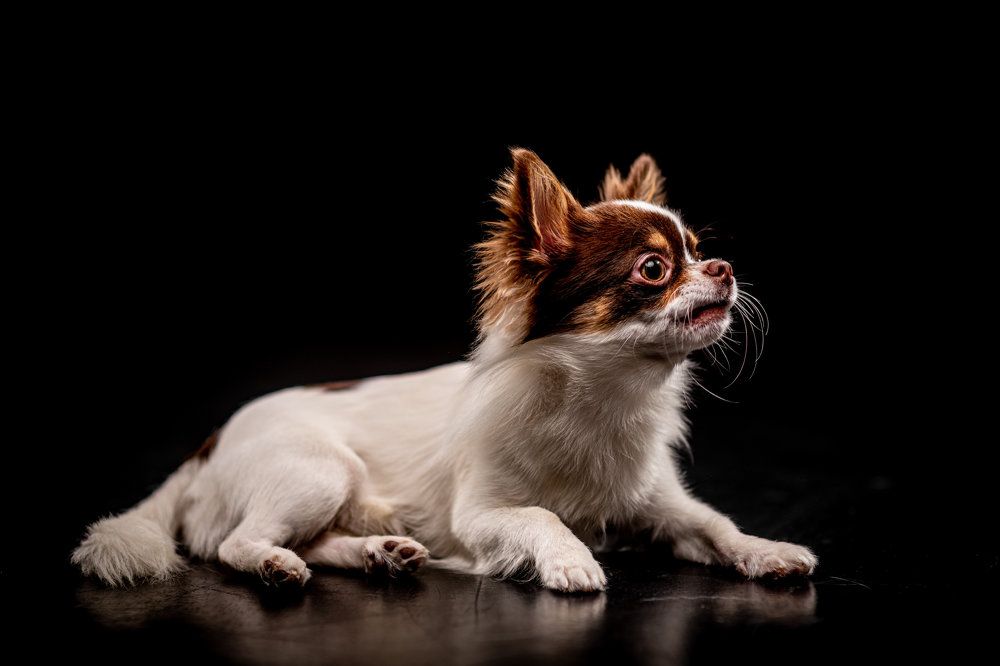 Photograph by Sergey Rygin