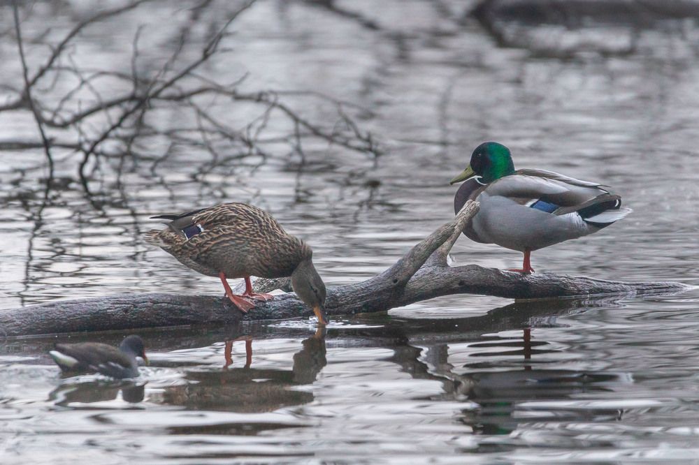 Photograph by Antonis Papaconstantinou