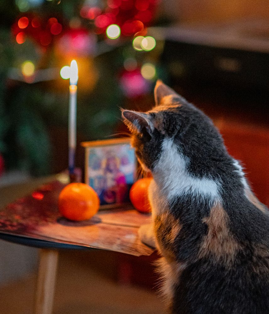 Photograph by Светлана Чижова