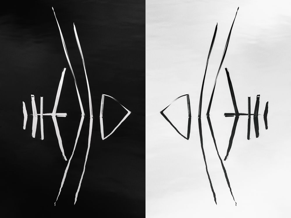 Photograph by Ирина Чиркина