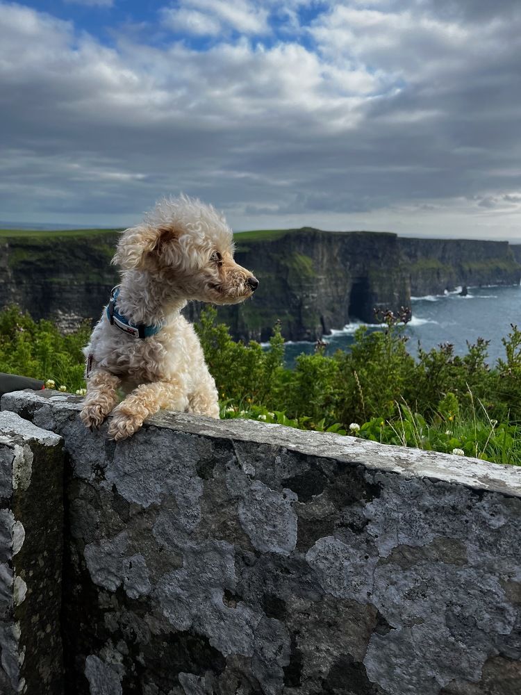 Feeling on Top of the World