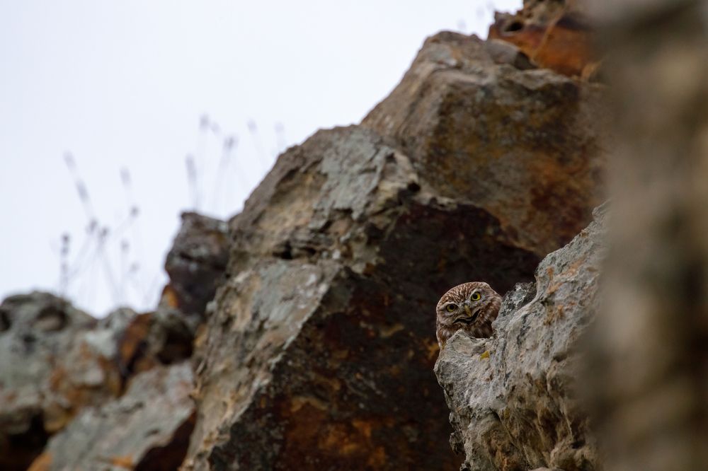 Photograph by Алексей Данилкин