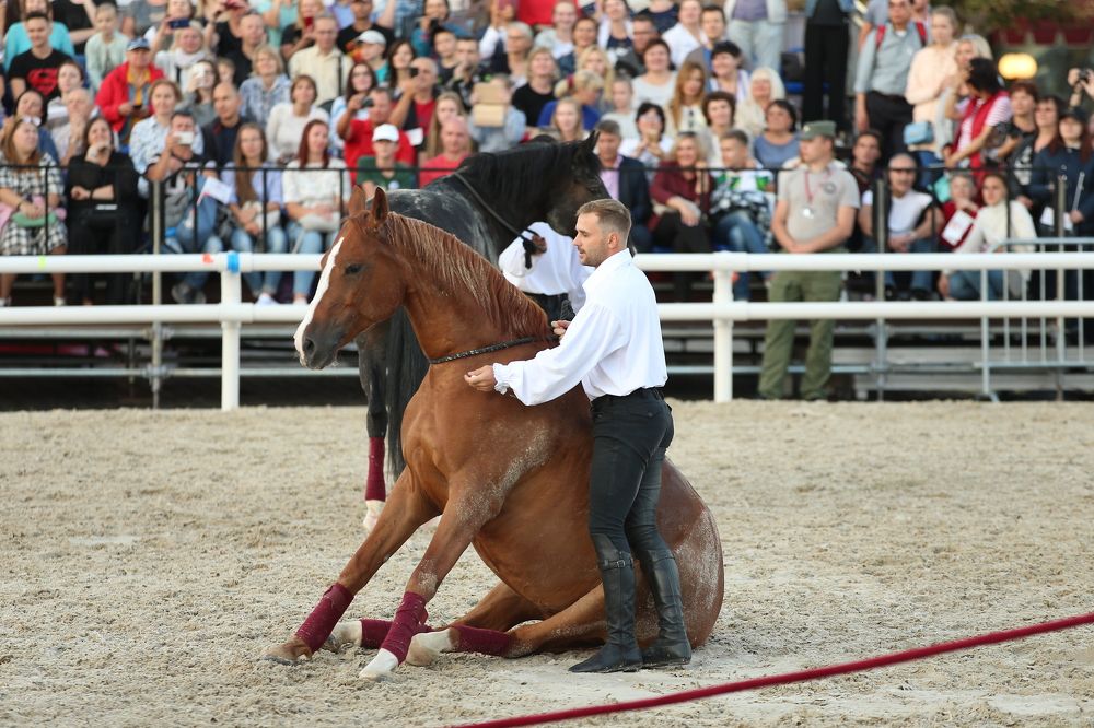 Photograph by Михаил Зильбер