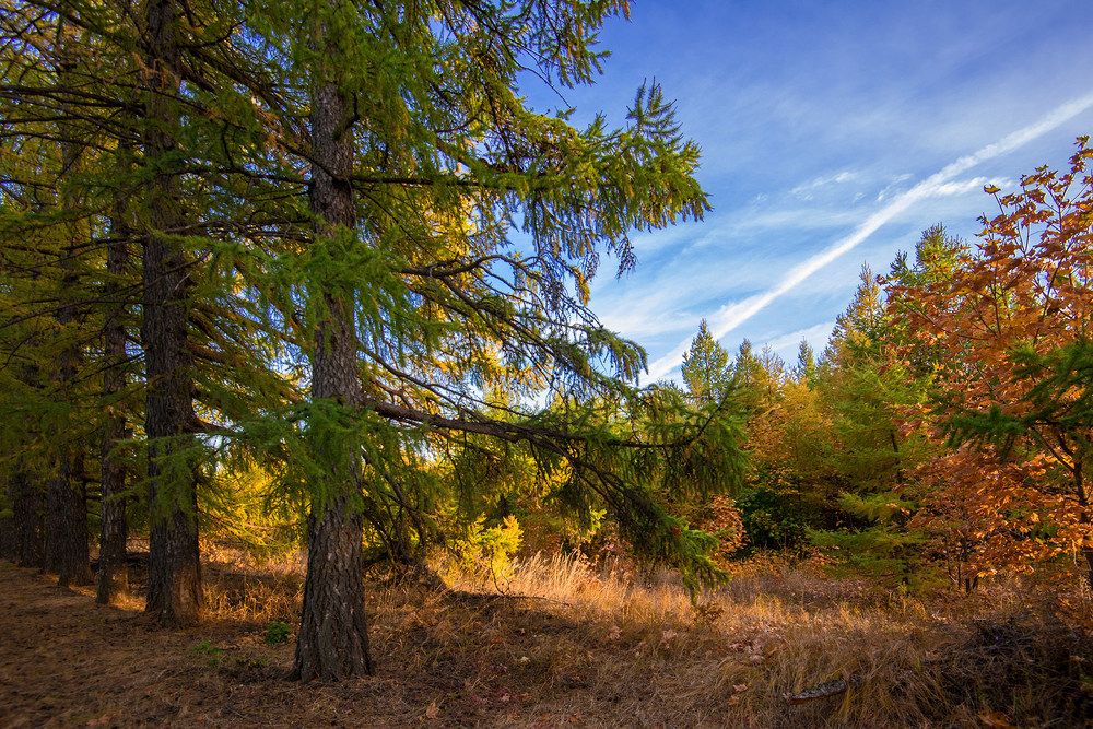 Photograph by Владислав Никишин