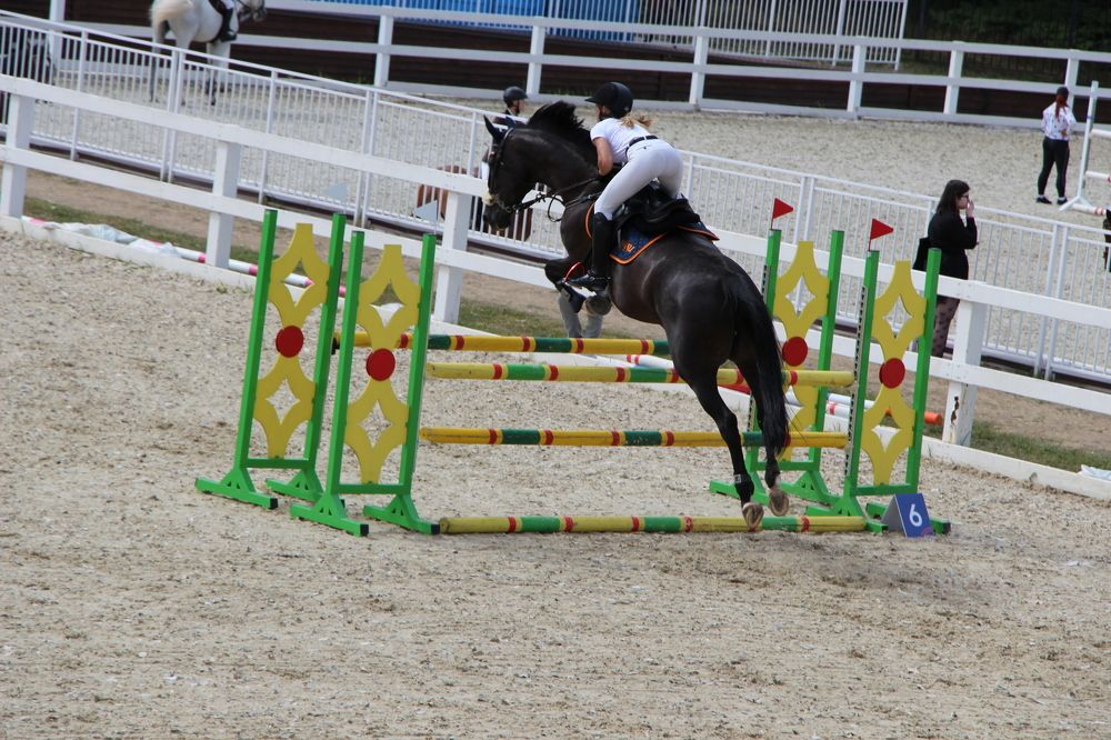 Фотография автора Юлиана Чудакова