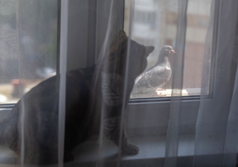 Photograph by Ирина Шафранская