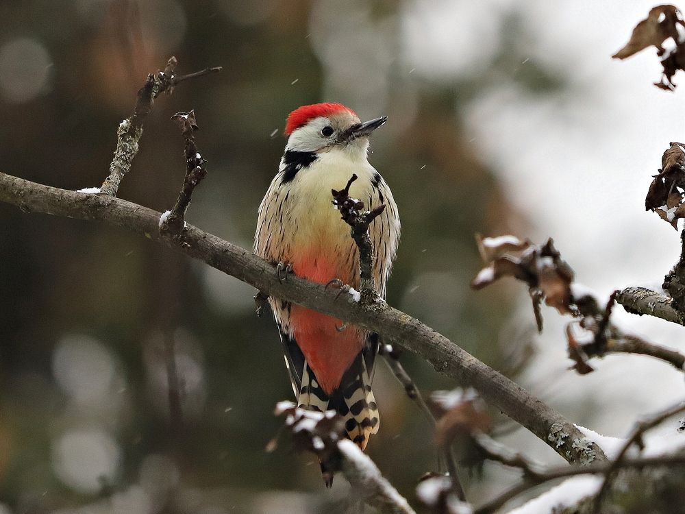 Photograph by Екатерина Мстиславская