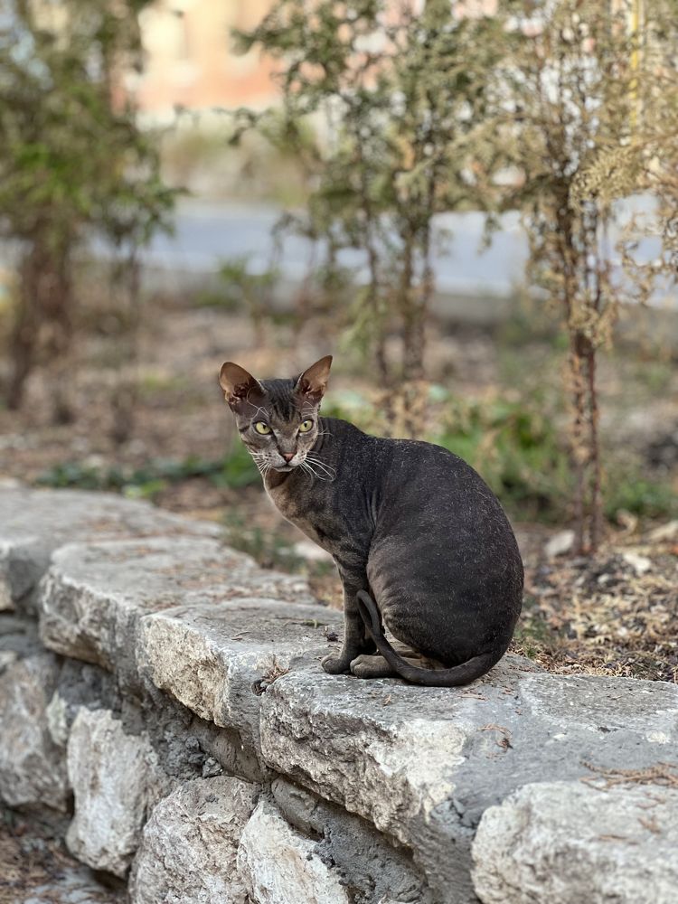 Фотография автора NINA