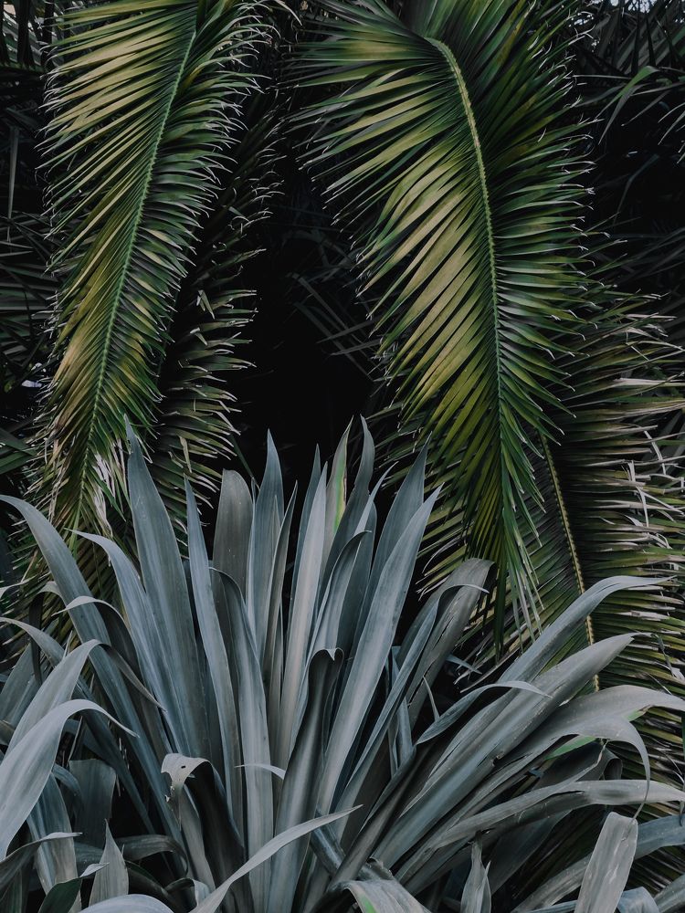 Photograph by Алиса Нежинская