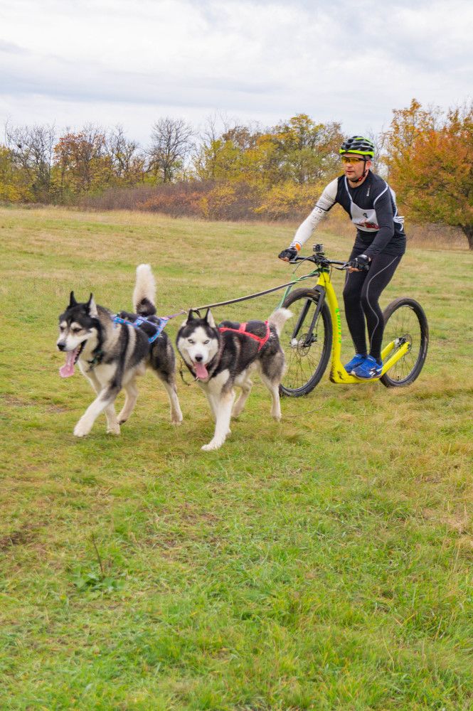 Photograph by Vlad Proshin