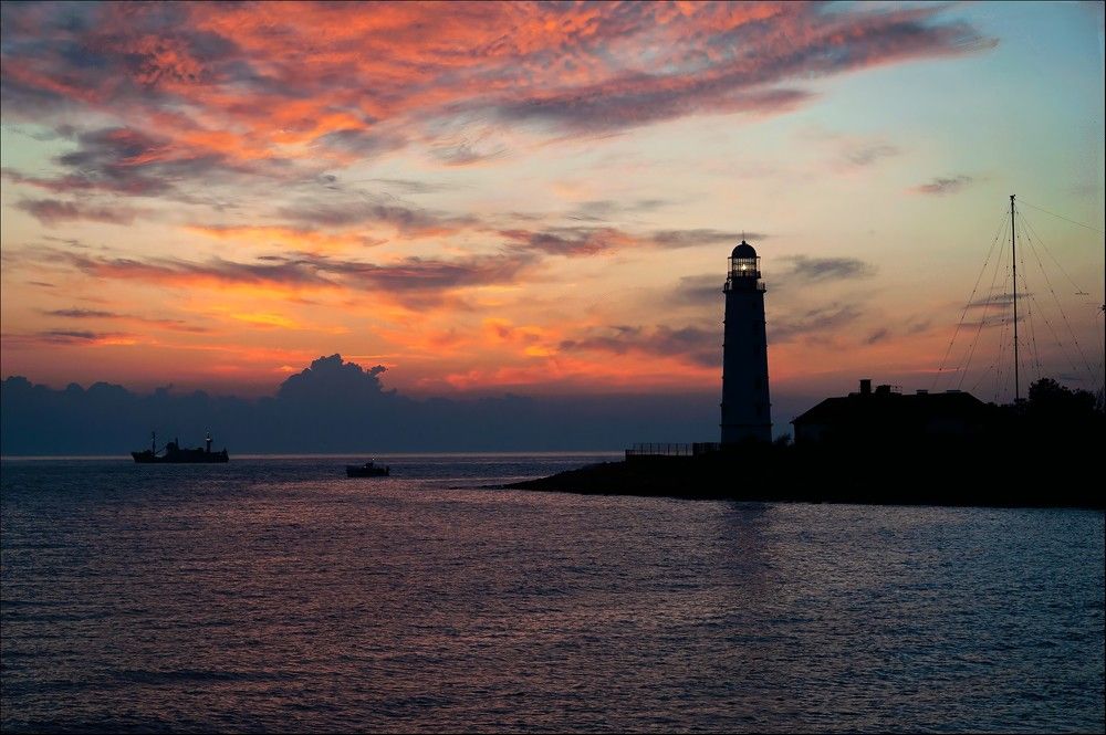 Фотография автора Дарья Васильева