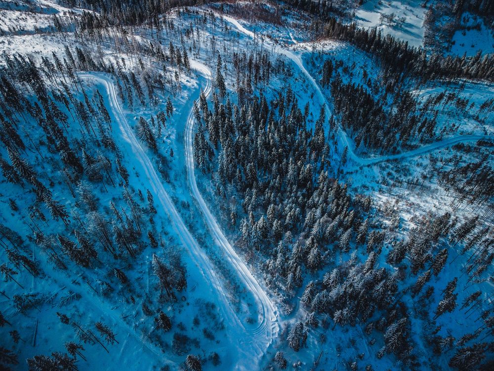 Photograph by Bohdan Nahirnyj